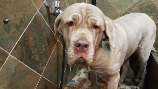 Pet Store «Pet Valu», reviews and photos, 37 Monroe Turnpike, Trumbull, CT 06611, USA