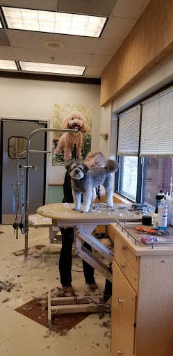 Pet Supply Store «PetSmart», reviews and photos, 21 Trader Ln, Williston, VT 05495, USA