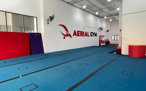 Aerial Gym image