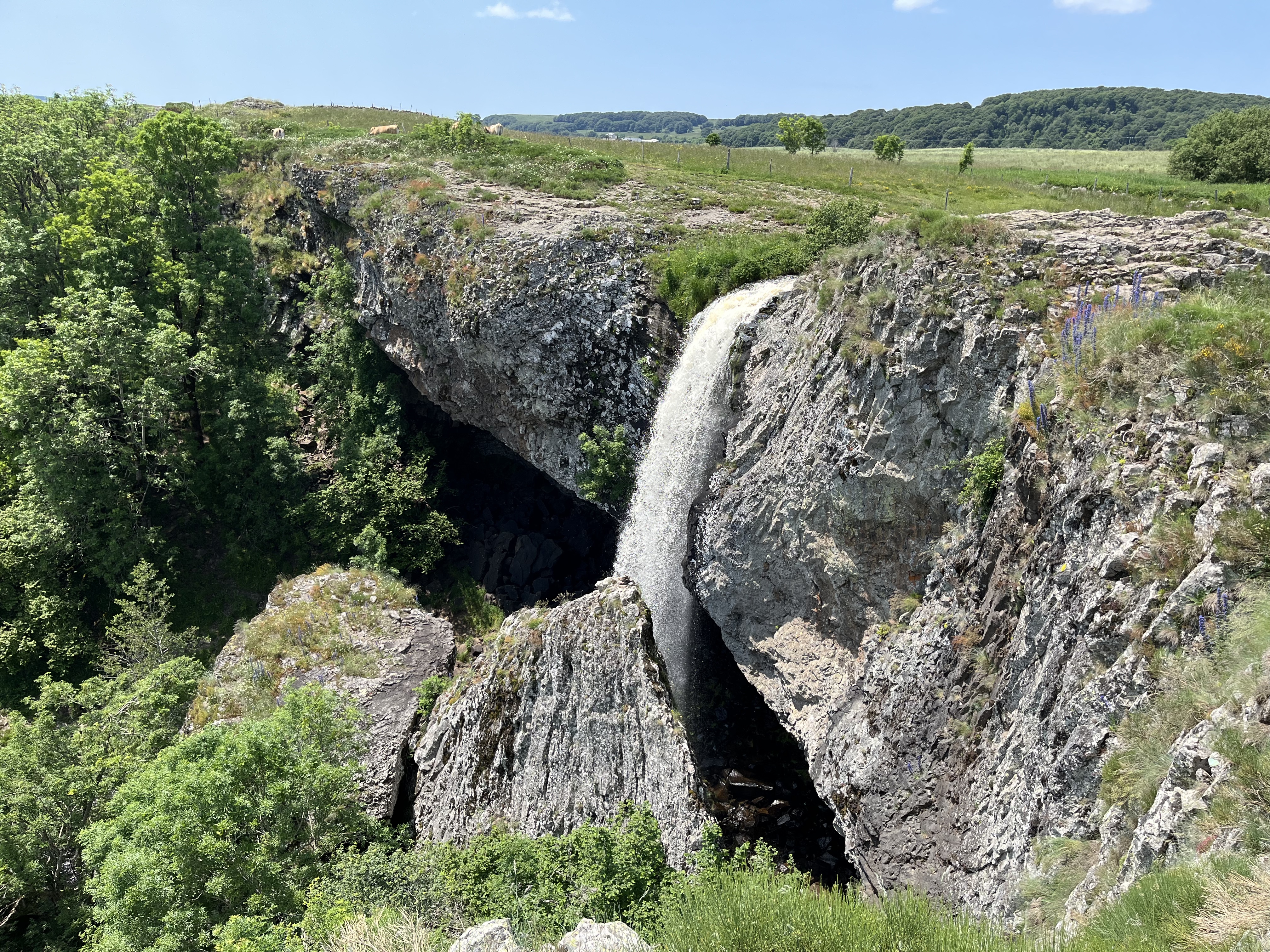 Photo n° 1 de l'avis de JM. fait le 20/06/2023 à 16:55