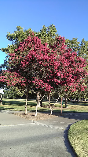 Park «Eugene H. Ahner Park», reviews and photos, 5517 Manzanita Ave, Sacramento, CA 95841, USA