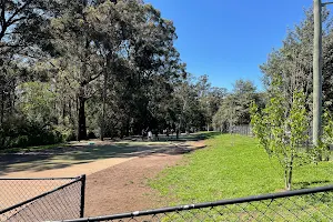 Thornleigh Dog Park image