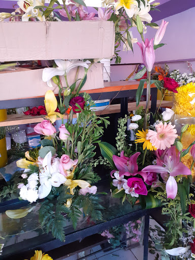 Floreria Jazmin – Chetumal