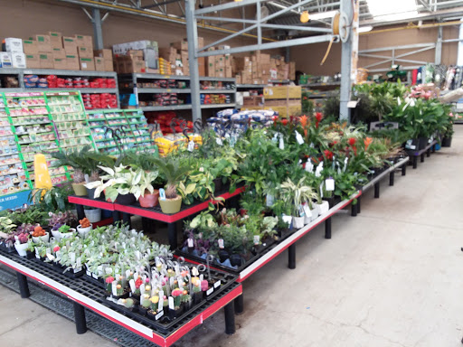 Department Store «Walmart Supercenter», reviews and photos, 121 W Elmsley Dr, Greensboro, NC 27406, USA