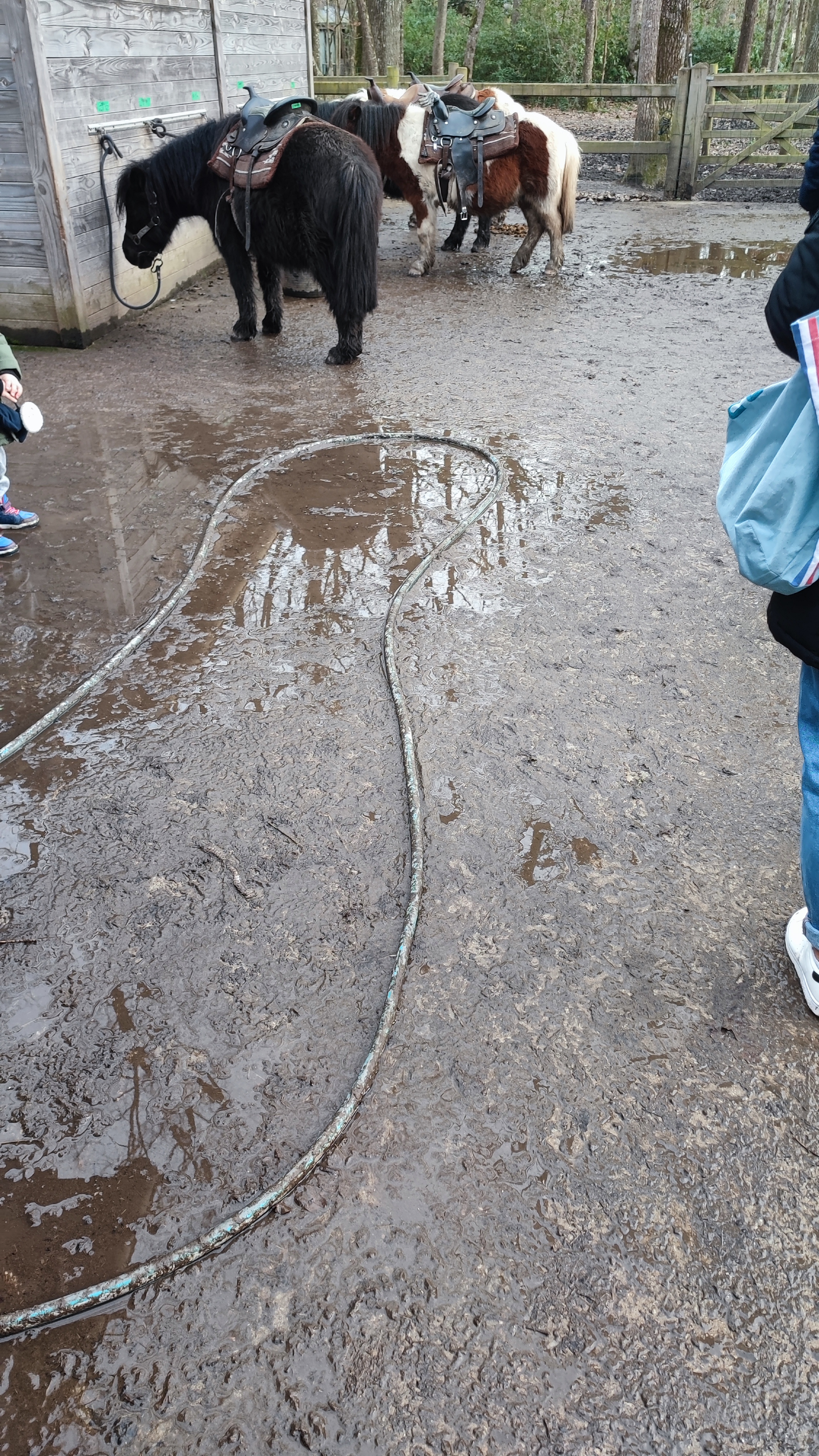 Photo n° 1 de l'avis de Adrien.l fait le 23/02/2024 à 16:01