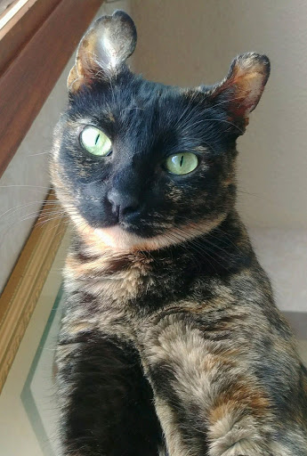 Pet Supply Store «Chuck & Don’s Pet Food & Supplies», reviews and photos, 8115 Wedgewood Ln N #1, Maple Grove, MN 55369, USA