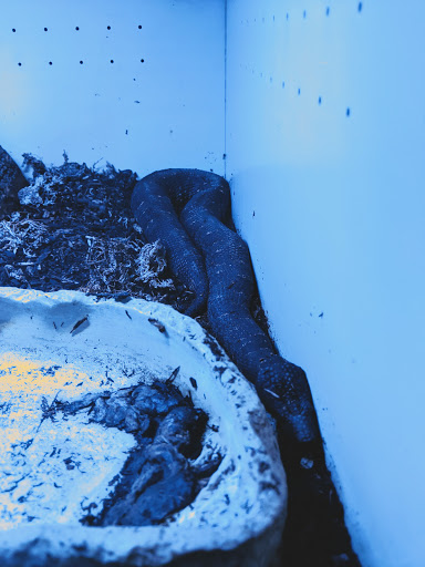 Pet Store «Pet Land», reviews and photos, 1450 Fort Campbell Blvd, Clarksville, TN 37042, USA