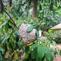 Rainier Pest Control - Photo 9 - Car repair in Gig Harbor, WA, Bremerton