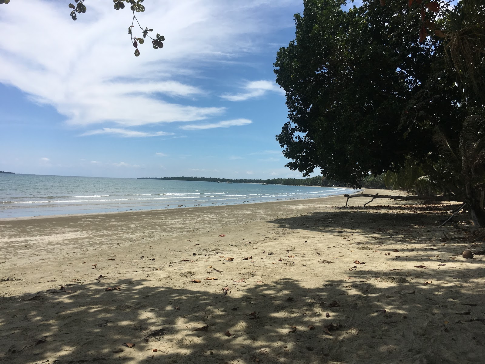 Zdjęcie Caramay Beach z poziomem czystości wysoki