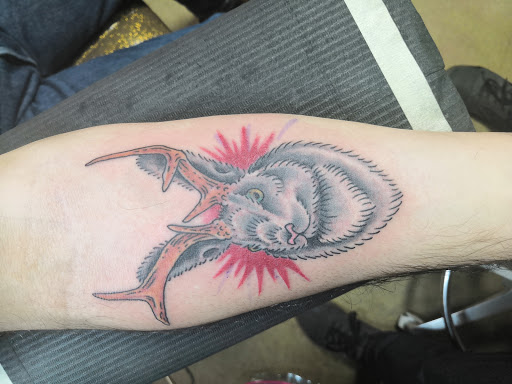 Tattoo Shop «Diablo Rojo Tattoo», reviews and photos, 2604 Guadalupe St, Austin, TX 78705, USA