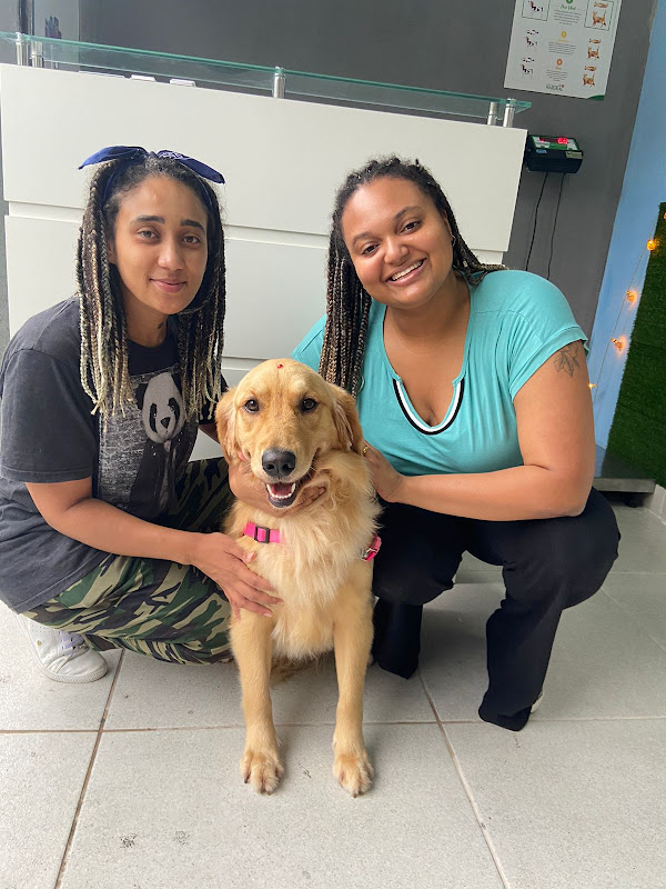 Uau Saúde e Estética Animal — Veterinário em São José dos Campos, SP