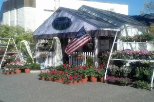 Purple Iris Flower Shop image