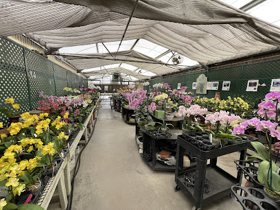 Norman's Orchid Nursery home of www.orchids.com