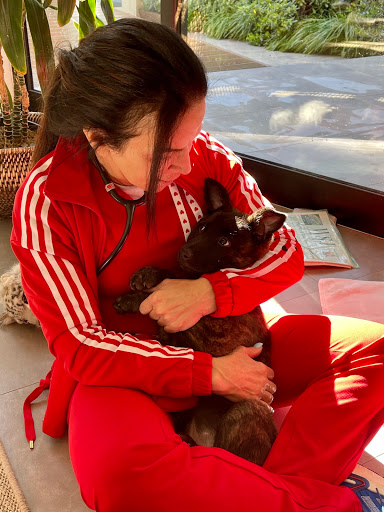 Elite Veterinary Care image