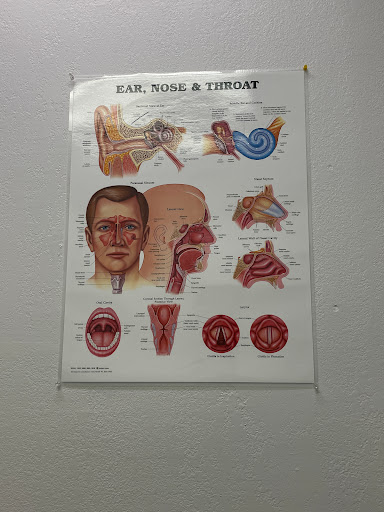 Ear Nose & Throat Clinic