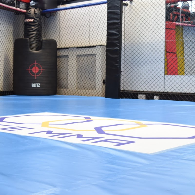 ACE MMA Martial Arts Centre