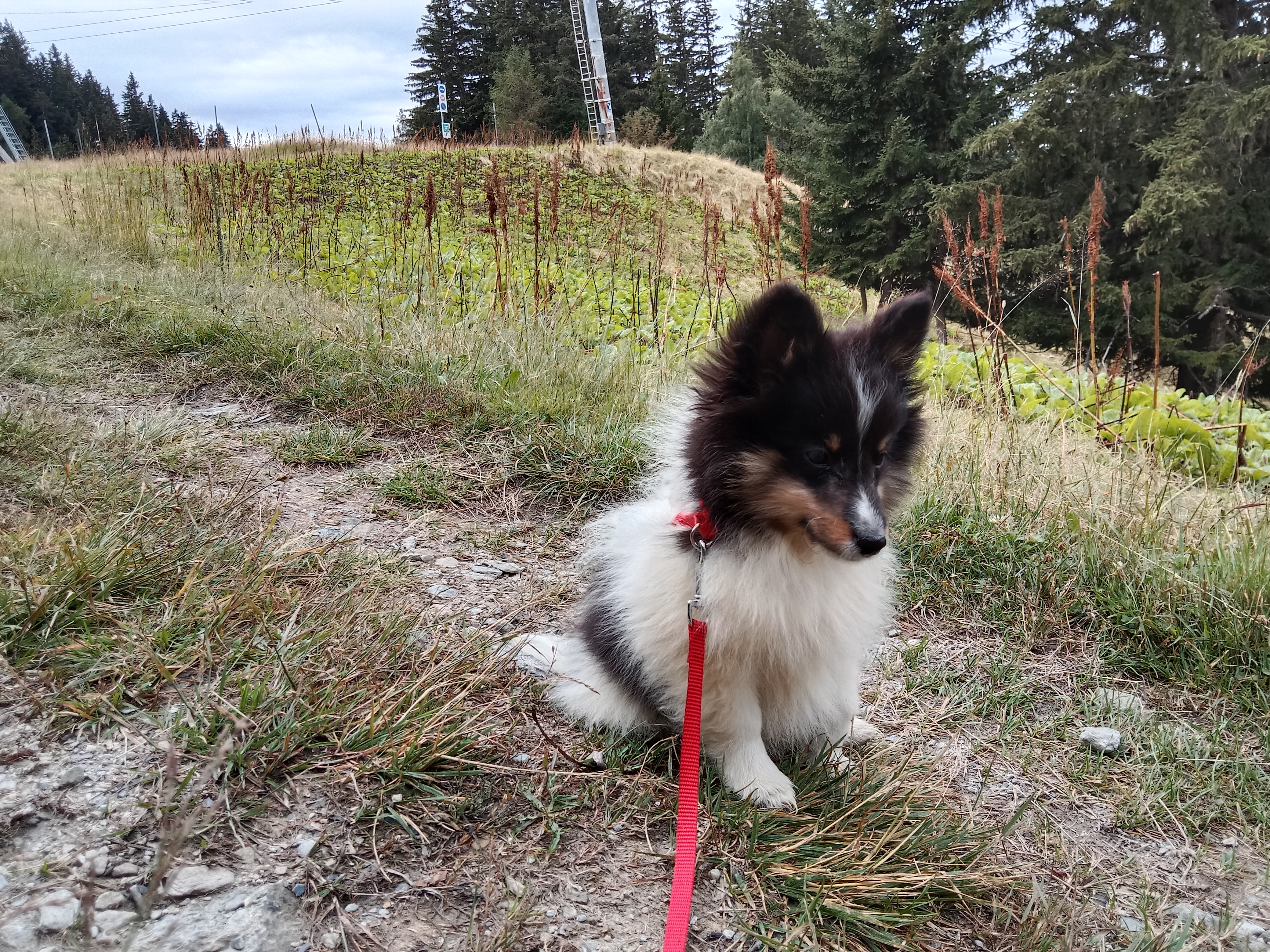 Photo n° 3 de l'avis de JOELLE.L fait le 02/08/2023 à 11:51