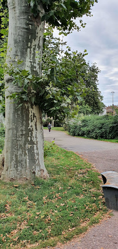 Coulé verte à Colmar