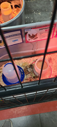 Home Improvement Store «Tractor Supply Co.», reviews and photos, 3416 S Western Ave, Marion, IN 46953, USA