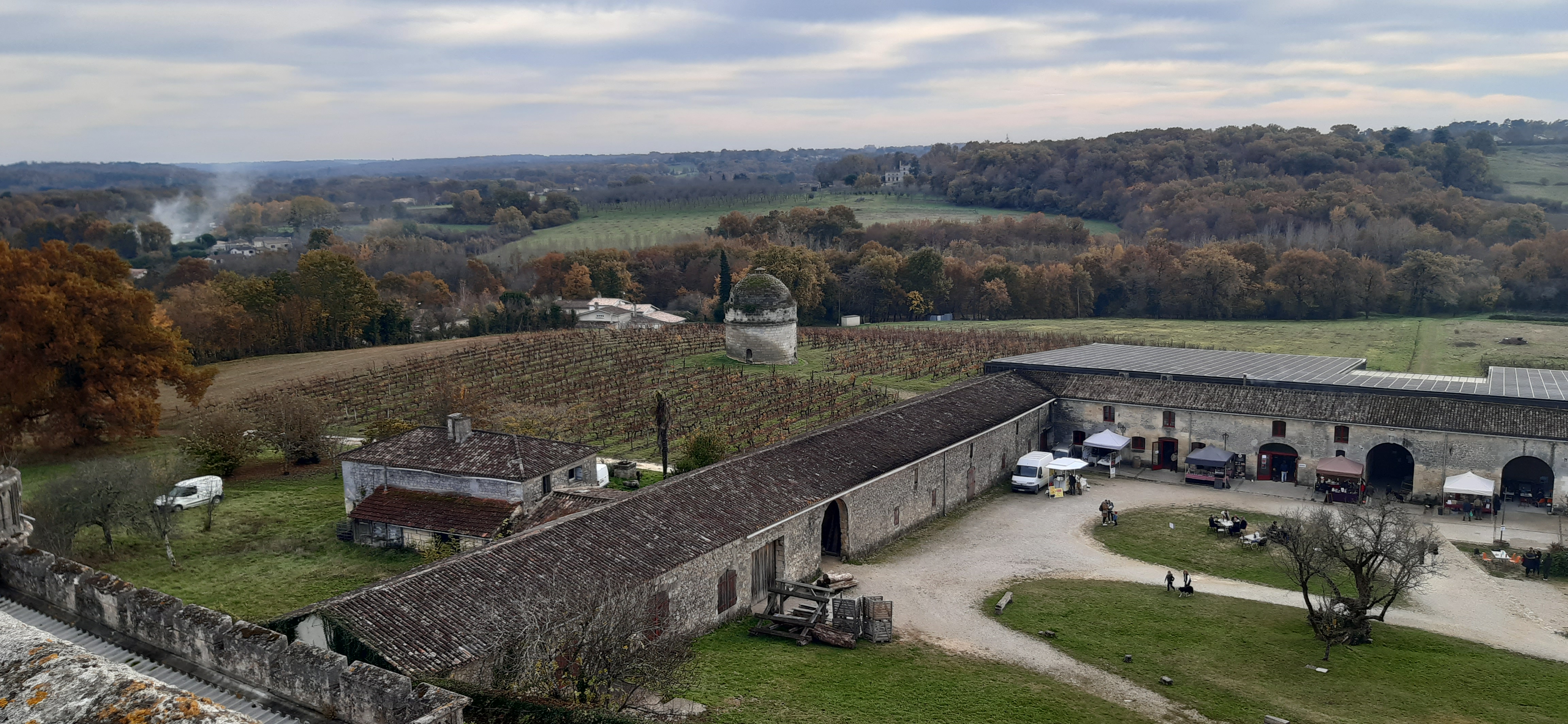 Photo n° 3 de l'avis de Higgins.4 fait le 26/11/2021 à 11:21