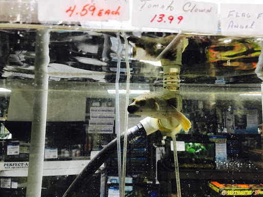 J B Tropical Fish, 1950 N Black Horse Pike, Williamstown, NJ 08094, USA, 