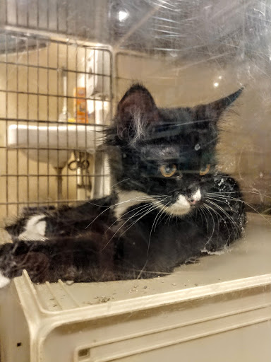 Pet Supply Store «PetSmart», reviews and photos, 16257 N Scottsdale Rd, Scottsdale, AZ 85254, USA