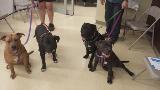 Pet Supply Store «Petco Animal Supplies», reviews and photos, 168 Ames Dr, Barre, VT 05641, USA