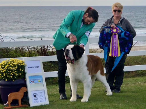 Pet Supply Store «Happy Re Tales», reviews and photos, 101 Creekside Crossing, Brentwood, TN 37027, USA