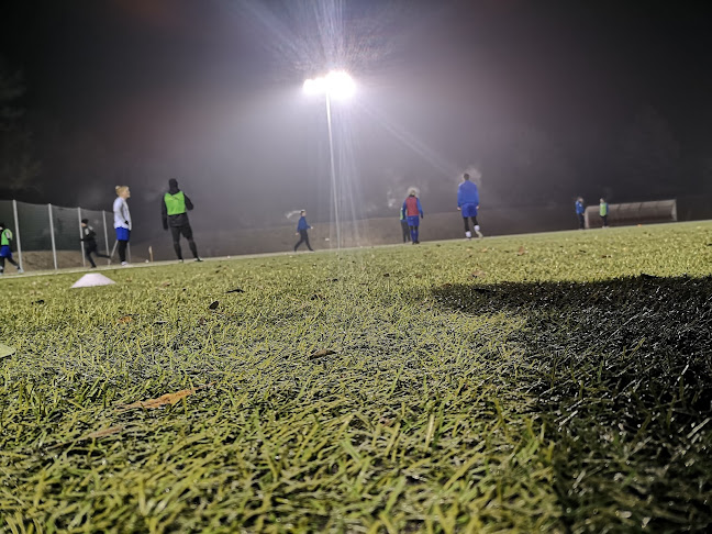 Értékelések erről a helyről: Dunai ökölvívó Sportegyesület, Dunaújváros - Tánciskola