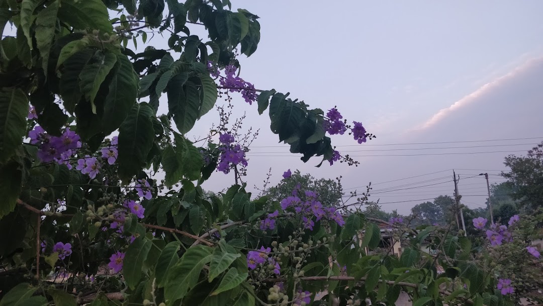Narayani Height