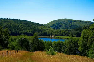 Lacul Mocearu image