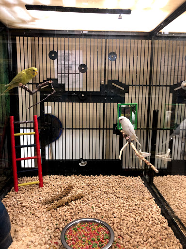 Pet Supply Store «PetSmart», reviews and photos, 6060 Long Prairie Rd, Flower Mound, TX 75028, USA