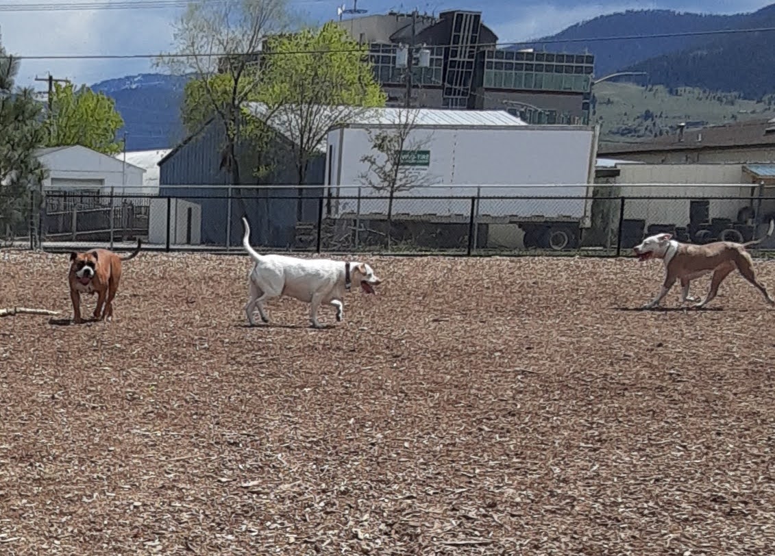 Rail Link Dog Park B.C.