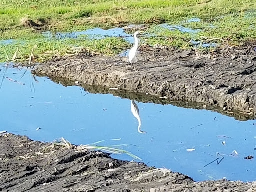 Park «Wilderness Park», reviews and photos, 10999 Little Lake Rd, Downey, CA 90241, USA