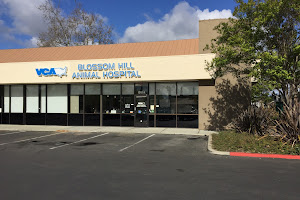 VCA Blossom Hill Animal Hospital