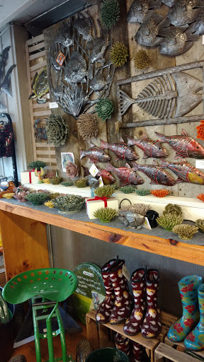 Garden Center «Sixteen Acres Garden Center», reviews and photos, 1359 Wilbraham Rd, Springfield, MA 01119, USA