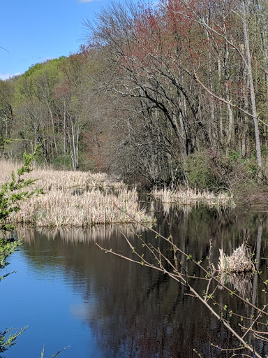 Bicycle Rental Service «Leisure Ride Bike Rental», reviews and photos, 266 Titusville Rd, Poughkeepsie, NY 12603, USA