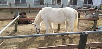 乗馬クラブ 常総ホースパーク