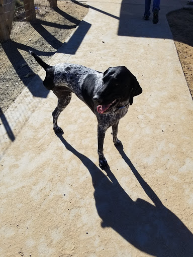 Golf Course «Kennedy Golf Course», reviews and photos, 10500 E Hampden Ave, Denver, CO 80014, USA