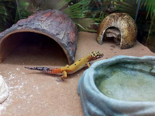 Pet Supply Store «PetSmart», reviews and photos, 220 Commerce Blvd, Fairless Hills, PA 19030, USA