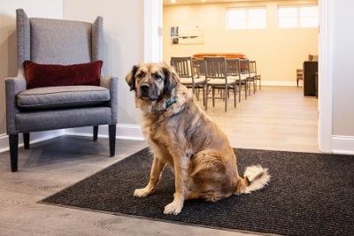 Funeral Home «Sagel Bloomfield Danzansky Goldberg Funeral Care», reviews and photos, 1091 Rockville Pike, Rockville, MD 20852, USA