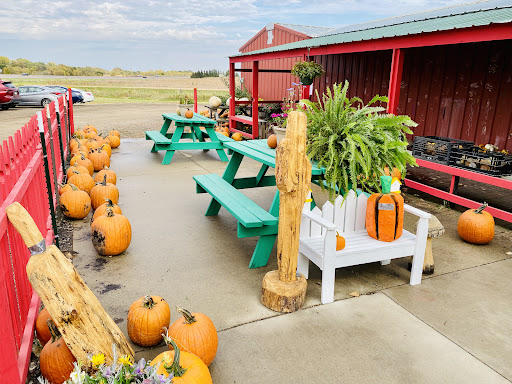 Produce Market «Welsh Heritage Farms», reviews and photos, 20758 528th Ave, Lake Crystal, MN 56055, USA