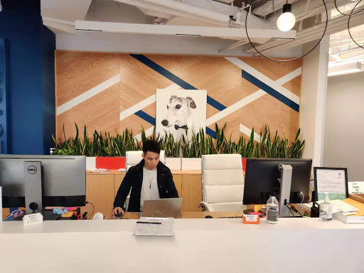 Flex Tax and Consulting Group image