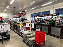 Del Sol & Ace Hardware - Photo 3 - Car repair in Somerton, AZ, Yuma
