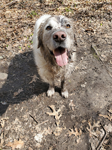 State Park «Hopkinton State Park», reviews and photos, 164 Cedar St, Hopkinton, MA 01748, USA