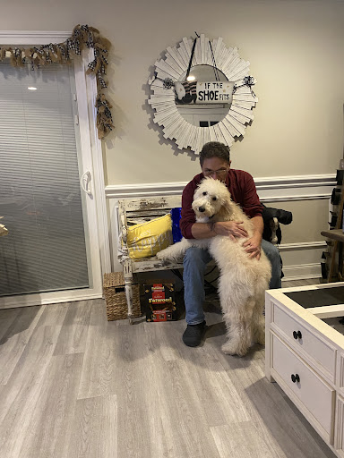 Pet Store «The Puppy Store», reviews and photos, 1163 Merrick Ave, Merrick, NY 11566, USA