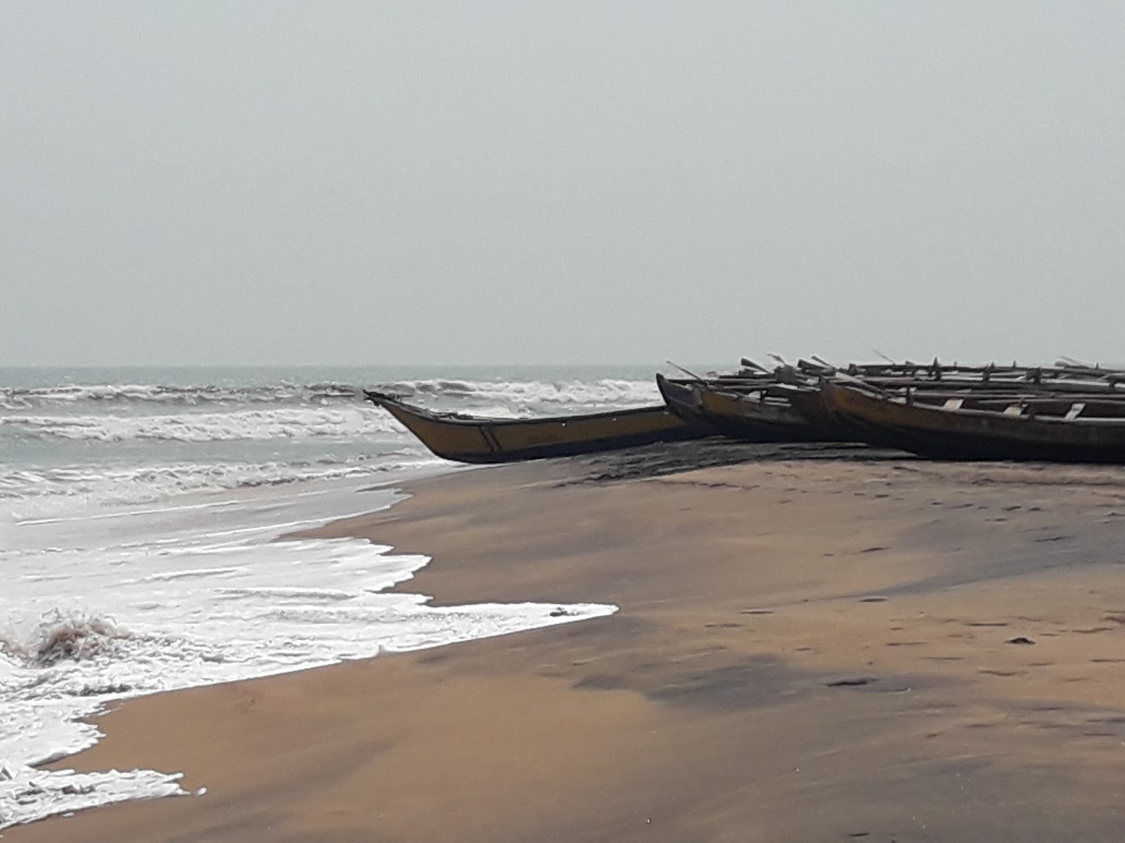 Kancheru Beach'in fotoğrafı vahşi alan