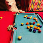 Photo n°3 de l'avis de Dani.. fait le 21/10/2020 à 08:06 sur le  Certosa di Maggiano à Siena