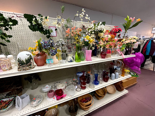 Thrift Store «Someplace Safe Thrift Stores», reviews and photos, 708 Atlantic Ave, Morris, MN 56267, USA