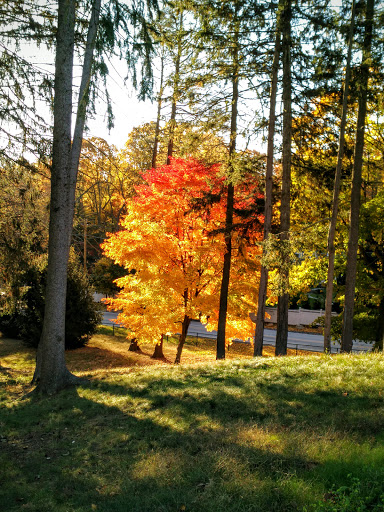 Golf Club «The Creek Club», reviews and photos, 1 Horse Hollow Rd, Locust Valley, NY 11560, USA